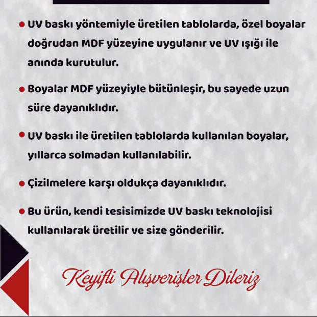 12 Adet Kişiye Özel Resimli Çerçeve Görünümlü MDF Tablo Seti